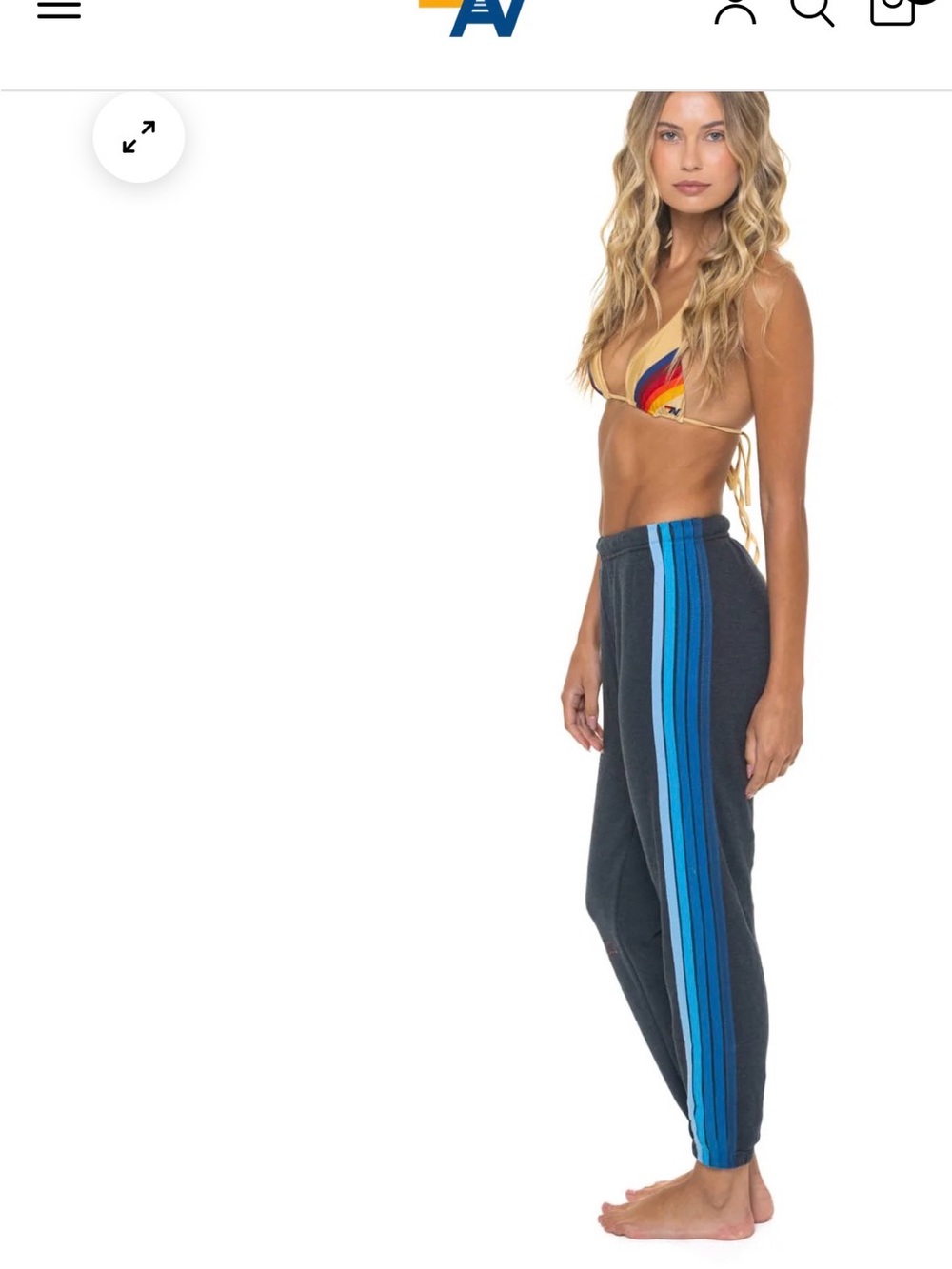 Aviator Nation Charcoal Track Joggers with Blue Tone Side Stripes